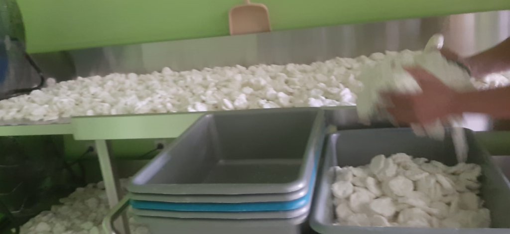 Cireng Brecxelle Untuk Reseller dan Keagenan