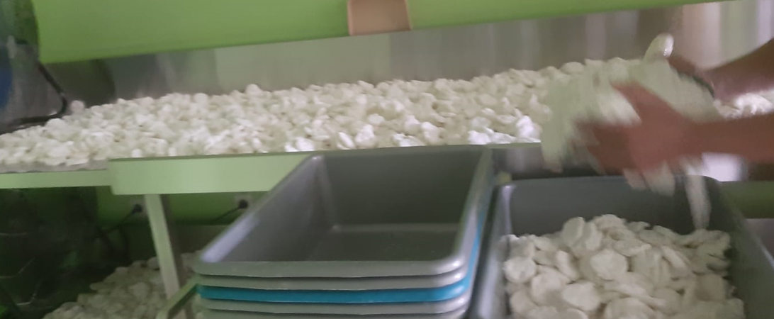 Cireng Brecxelle Untuk Reseller dan Keagenan