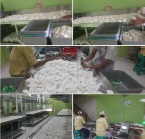 Jual Cireng Frozen Food di Solo