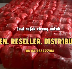 Distributor Reseller Cireng rujak di Cimanggis Depok
