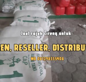 Agen Reseller Cireng rujak di Cimanggis Depok