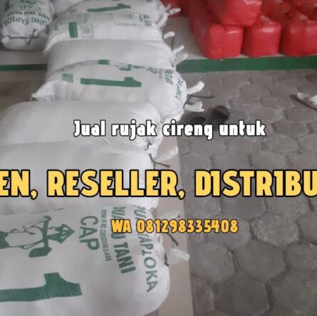 Agen Reseller Cireng rujak di Cimanggis Depok