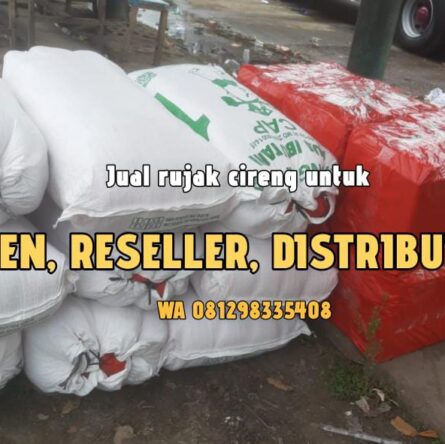 Agen Rujak Cireng Murah di Cilodong Depok