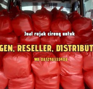 Agen Reseller Cireng rujak di Cilodong Depok
