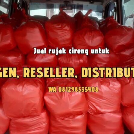 Agen Reseller Cireng rujak di Cilodong Depok
