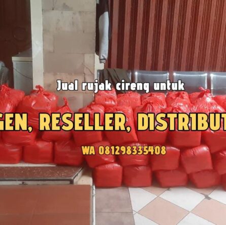 Distributor cireng rujak di Cilodong Depok