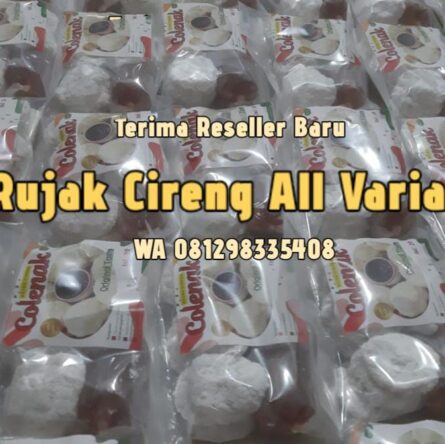 Pabrik Cireng Termurah di Pamulang Tangsel