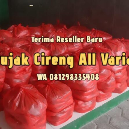 Agen Reseller Cireng rujak di Cinangka Depok