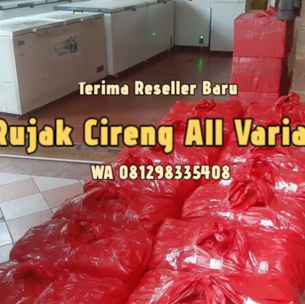 Reseller cireng rujak termurah di Cinangka Depok