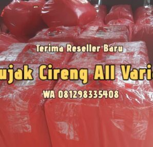 Pabrik Cireng Buka Order Reseller di Ciputat