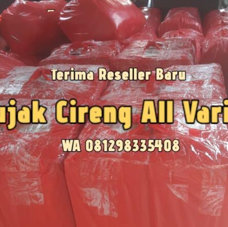 Pabrik Cireng Buka Order Reseller di Ciputat