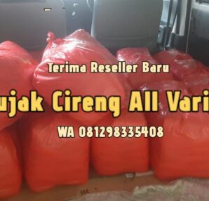 Pabrik Rujak Cireng Terima Orderan di Sukmajaya Depok