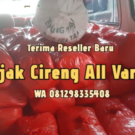 Reseller cireng termurah di Pondok Petir