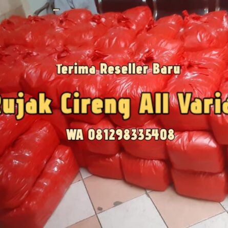 Agen Reseller Cireng di Bojongsari Depok 081298335408