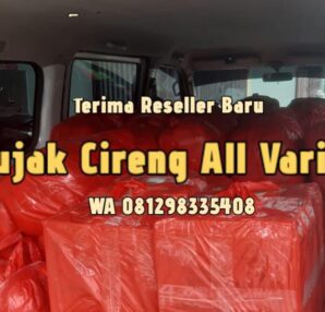 Distributor cireng brecxelle di Cimanggis Depok