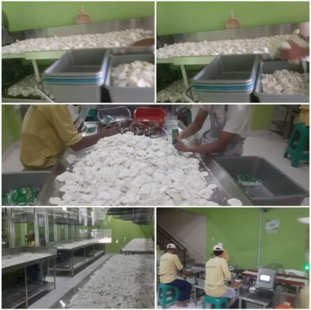 Pabrik cireng rujak solusi bisnis kuliner sepanjang masa